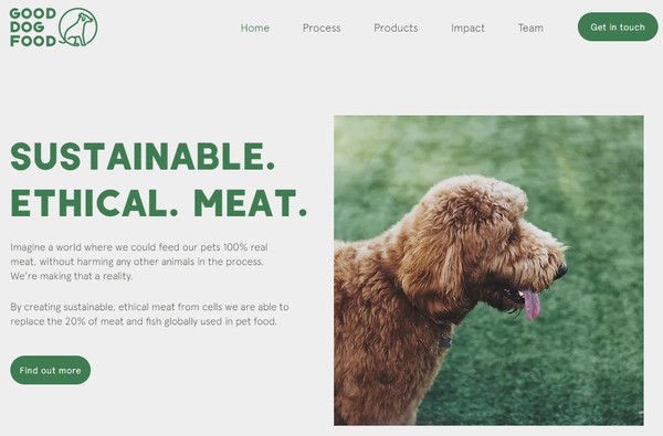 영국의 차세대 단백질 식품회사인 굿도그푸드의 홈페이지