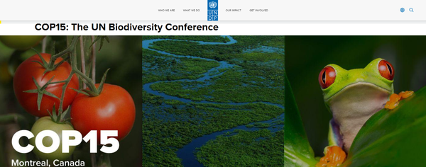 지난달 COP15가 끝나고 전 세계 수자원과 생물다양성 문제 해결 방안에 대한 움직임이 늘고 있다./ UNDP