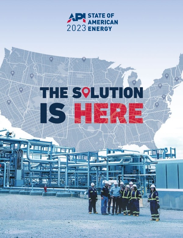 최근 API가 발간한 보고서 표지