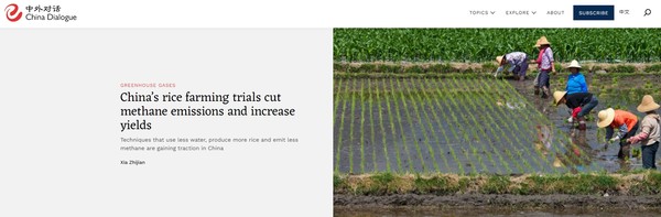 중국의 독립된 환경 조직인 차이나 다이얼로그 홈페이지