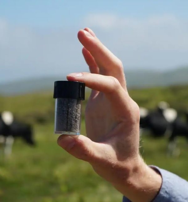 스웨덴 소재의 스타트업, 볼타 그리텍이 소의 메탄 배출을 획기적으로 줄일 수 있는 해초 첨가제를 비롯해 다양한 사료 첨가제가 개발되고 있다. / 볼타 그리텍