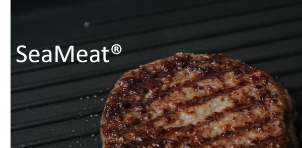 씨위드컴퍼니가  개발한 씨미트. 잘게 자른 해조류를 고기 대신 사용한 대체 다짐육이다. /씨위드컴퍼니