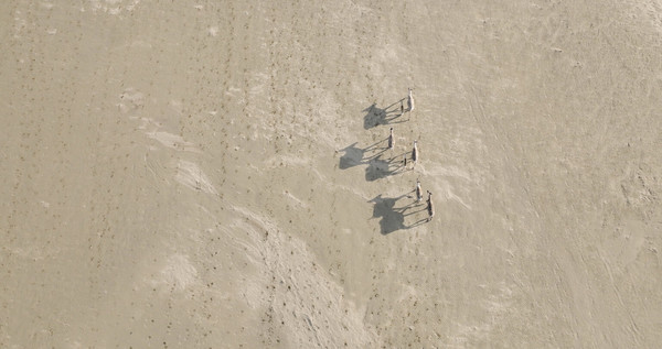 미국 내무부는 글로벌 석유 기업 코노코필립스가 추진 중인 ‘윌로우 프로젝트’의 규모를 축소해 승인했다./알래스카 야생 연맹