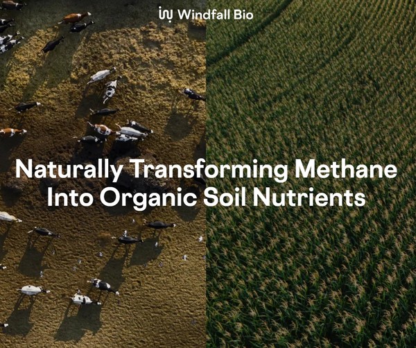 윈드폴 바이오의 홈페이지