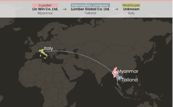 제3국을 통해 유럽으로 수출되는 미얀마산 티크나무/ ICIJ
