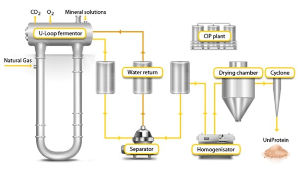 유니바이오는 유-루프 기술을 이용해 천연가스나 바이오 가스와 같은 메탄을 원료로 사용해 고농축 단백질을 만든다./유니바이오