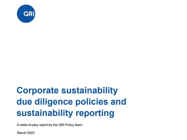 GRI에서 지난 28일 발표한 '기업 지속가능성 실사 정책 및 공시' 보고서. / GRI
