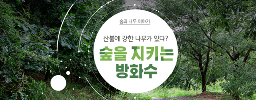 사진: 국립산림과학원 웹진 페이지
