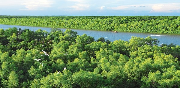 최근 해외에서는 탄소 크레딧에 대한 감시가 매우 깐깐해지고 있다. 