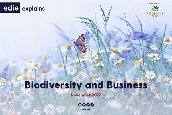 영국 미디어 에디가 발간한 기후와 생물다양성에 관한 가이드 표지/에디 홈페이지