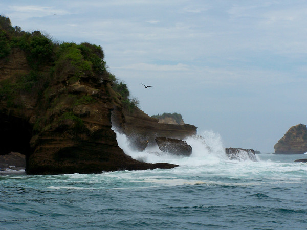 지난달 갈라파고스 보호 관련 에콰도르 정부와 다자간개발은행의 자연부채교환 거래가 성사됐다./ gettyimagesbank 