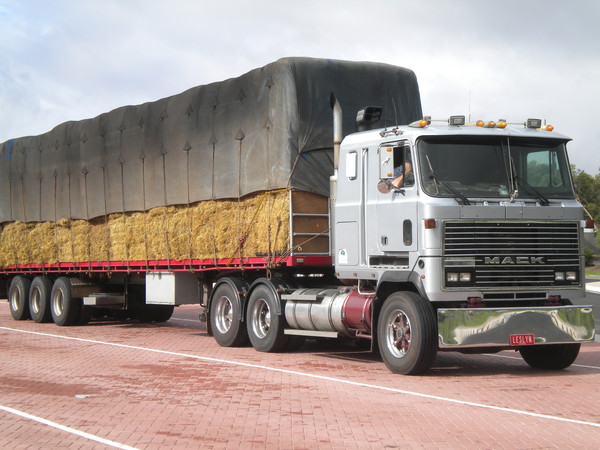 EU는 2050년까지 27개국 경제 전체에서 넷제로 목표를 달성하기 위해 트럭에 대한 더 엄격한 이산화탄소 기준을 준비하고 있다./ flickr