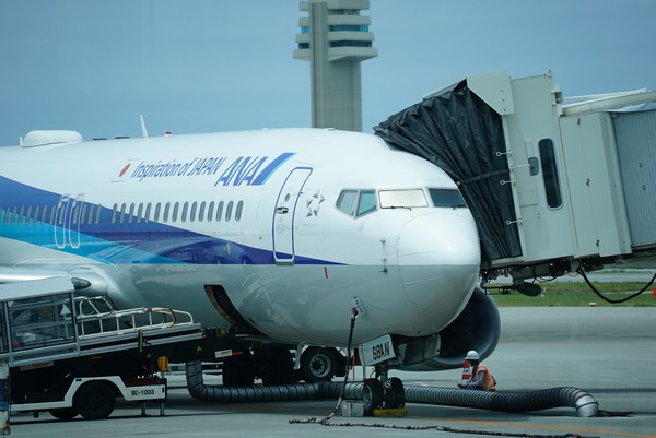   아시아 항공사 중 처음으로 싱가포르에서 SAF를 구입하는 전일본공수(ANA)/언스플래시