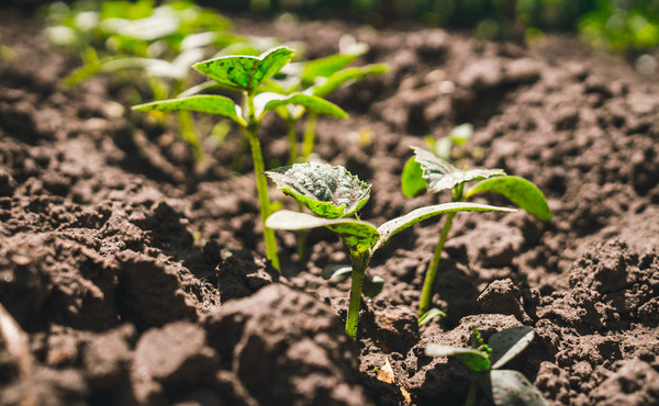 최근 전 세계의 농업용 토양을 개량하면 지구 온난화를 1.5℃ 이내로 유지할 수 있을 만큼 충분한 탄소를 저장할 수 있다는 내용을 담은 새로운 연구가 나왔다./ 다운포스 테크놀로지스