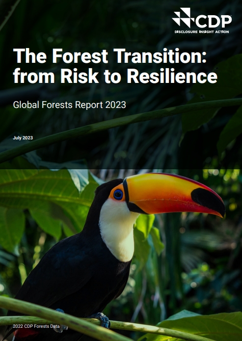 CDP가 기업들을 대상으로 삼림벌채로 인한 위험에 대해 어떻게 조치하고 있는지 조사했다. 그 결과 조치를 취하거나 삼림벌채를 종식하겠다는 약속을 한 기업은 소수인 것으로 나타났다./ CDP