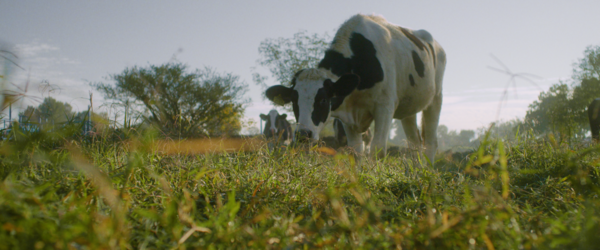 IRA의 파트너십 자금 RCPP 제안을 받은 이후 다농은 2030년까지 우유 공급망에서 메탄 배출량을 30% 절대 감축하기로 했다./ 다농