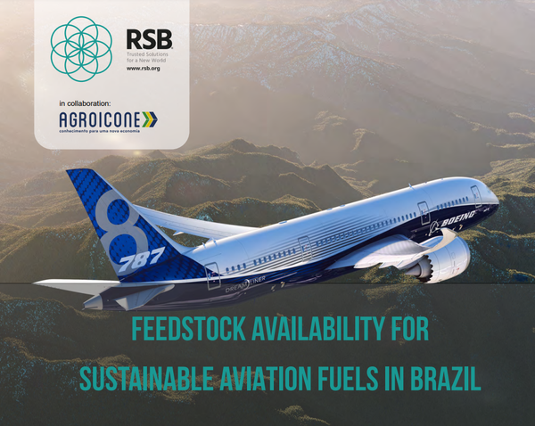 A partir de 2021, a RSB tem como foco o Brasil sob o tema 'Combustível de Aviação Sustentável L)'.
