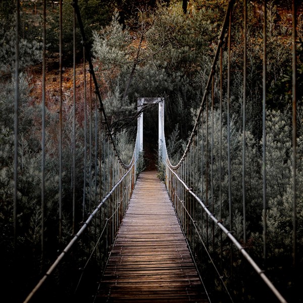 베인앤컴퍼니와 CDP의 영국기업 연구 보고서 표지/베인앤컴퍼니 홈페이지