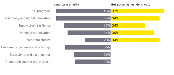 CFO 대상 설문조사에선 응답자의 37%가 필요한 경우 ESG 영역의 지출을 줄이거나 중단할 계획이라고 밝힌 것으로 나타났다. / EY