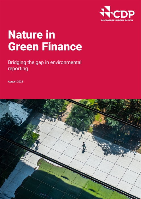   CDP의 최신 보고서 표지/홈페이지