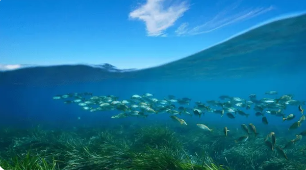  36곳의 글로벌 투자운용사가 의결권 자문사 ISS에 ESG를 주주  제안에 포함하는 지침을 만들어 달라고 요구했다. / IIGCC