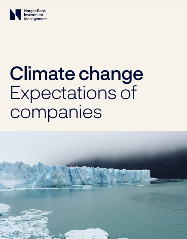노르웨이 국부펀드(NBIM)가 기업이 기후 목표를 설정하는 데서 그치지 않고 전환 계획을 자세히 세울 것을 강조하면서 기업이 지켜줬으면 하는 6가지 기대 사항을 작성해 공유했다./ NBIM