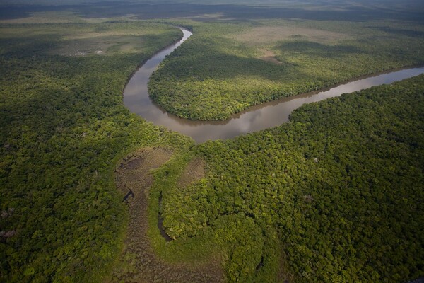 카리브해 과테말라 REDD+ 프로젝트 / 베라 홈페이지