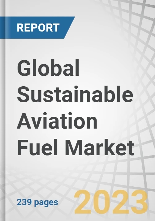  보고서의 표지. 보고서는 유료로 열람할 수 있다./홈페이지