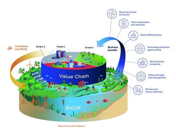 BVCM로 인한 혜택에 대한 시각화 / SBTi