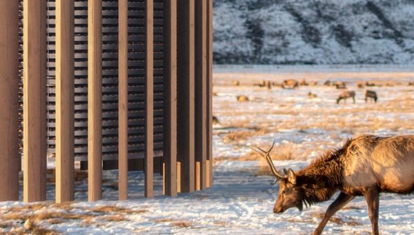 스피리투스의 DAC 오차드 원이 완성되면 매년 최대 2메가톤의 탄소를 포집 및 격리할 수 있을 것으로 전망된다./스피리투스 