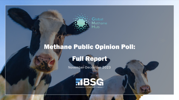 글로벌 메탄 허브가 발표한 설문조사 보고서/글로벌 메탄 허브