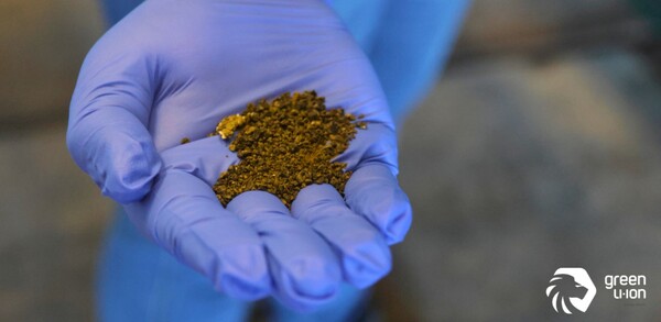  그린라이온의 홈페이지 이미지.