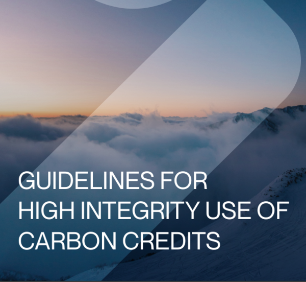 IETA가 발간한 높은 무결성의 탄소배출권 사용을 위한 가이드라인/IETA
