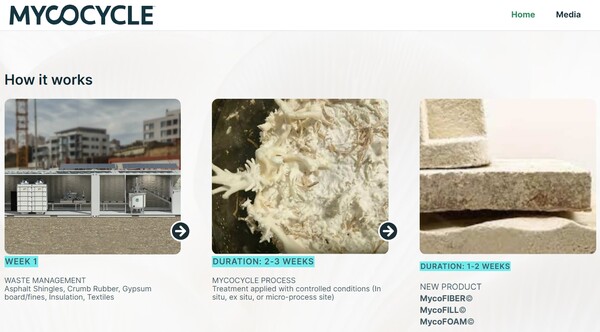  버섯의 곰팡이 균사체를 사용해서 폐건축자재를 재활용하는 마이코사이클의 홈페이지.