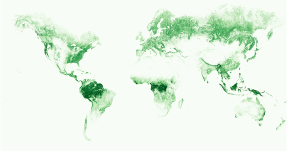 메타와 세계자원연구소가 고해상도 위성 이미지를 AI가 분석해 만든 세계 나무 캐노피 높이 지도를 공개했다.  모든 데이터와 인공 지능 모델은 무료이며 상업적 용도로 공개적으로 제공된다./ 메타