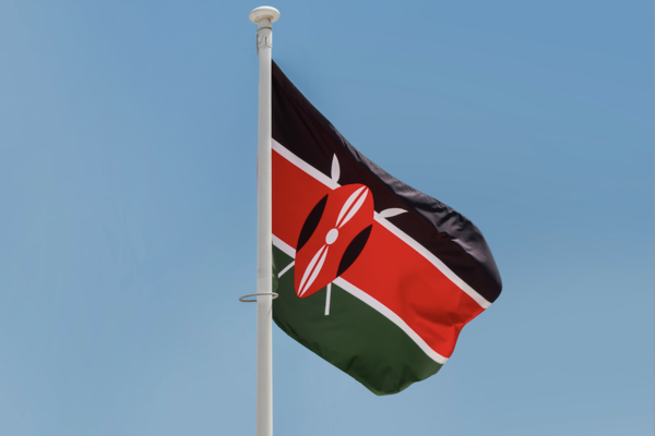 윌리엄 루토 케냐 대통령이 미국 워싱턴을 방문해 아프리카의 녹색 산업 투자 기회에 대해 홍보했다./ Unsplash