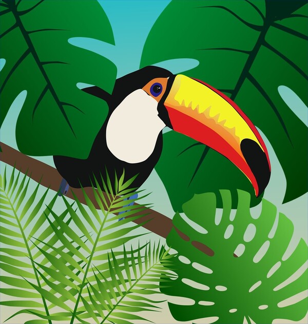  아마존 열대 우림의 이미지./픽사베이