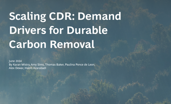 BCG 보고서 표지 / BCG