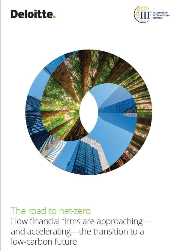글로벌 컨설팅 기업 딜로이트(Deloitte)와 국제금융협회(Institute of International Finance)가 금융 회사를 행동으로 이끄는 10가지 주요 내용을 담은 보고서를 발표했다./ 딜로이트