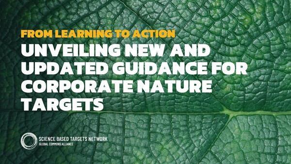 자연과학 기반 목표 네트워크(SBTN)가 1년간 해온 시범 프로그램을 마무리하고, 기업이 자연과학 목표를 설정하는 데 도움이 되는 가이드라인을 업데이트해 내놓았다./ SBTN X