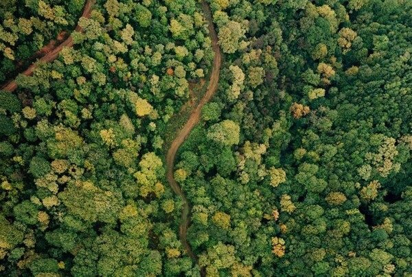브라질 정부가 탄소배출권 구매자들에게 사기에 주의할 필요가 있다고 전했다./ Carbon Direct.com