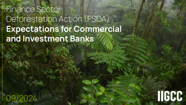 IIGCC가 발간한 금융 부문 삼림 파괴 방지 행동(FSDA) 보고서/IIGCC
