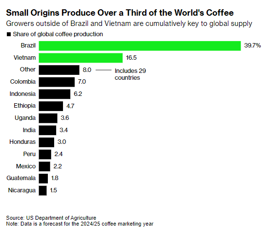 글로벌 커피 생산량 점유율 / 블룸버그  