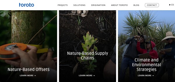  멕시코의 선도적인 스타트업 토로토의 홈페이지.