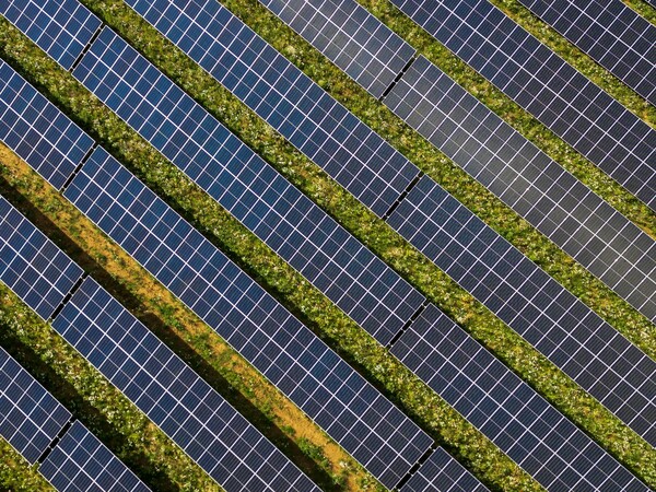 이미지=언스플래쉬