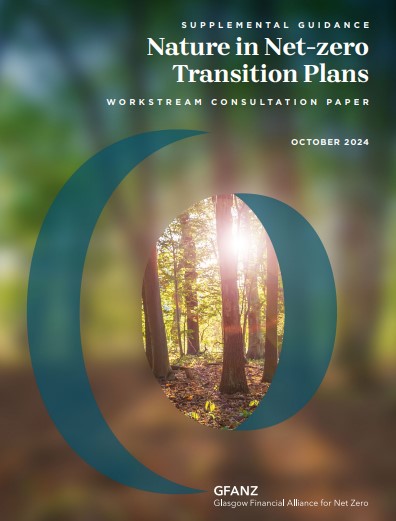 GFANZ가 제시한 협의안/GFANZ