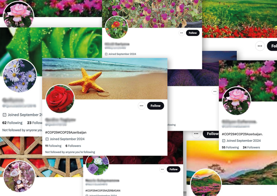 자연을 테마로 한 프로필 또는 배너 사진과 함께 #COP29를 게시한 X(트위터) 계정들 / 글로벌위트니스