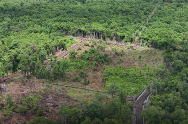  RAN은 고해상도 위성을 통해 열대우림의 불법 개간 현황을 조사했다./RAN 보고서