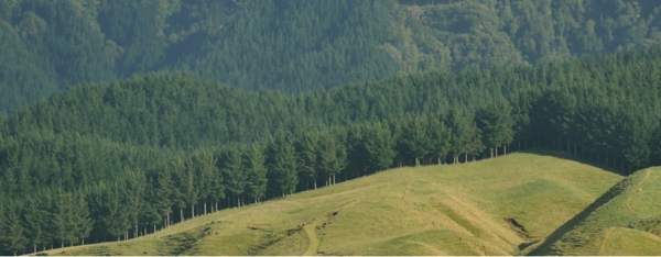 뉴질랜드 정부가 탄소배출량거래제도(ETS)에 따라 농업에서 임업으로 전환하는 것을 제한하는 규칙을 발표했다./농부연합
