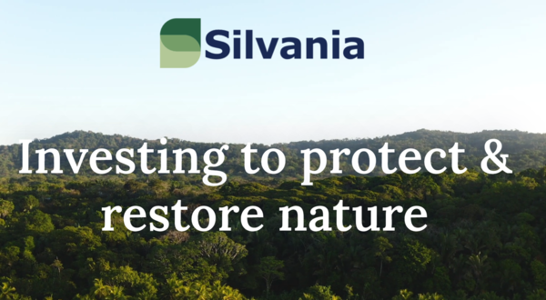 실바니아는 세계경제포럼에서 레이스 투 벨렘 이니셔티브를 공개했다./실바니아